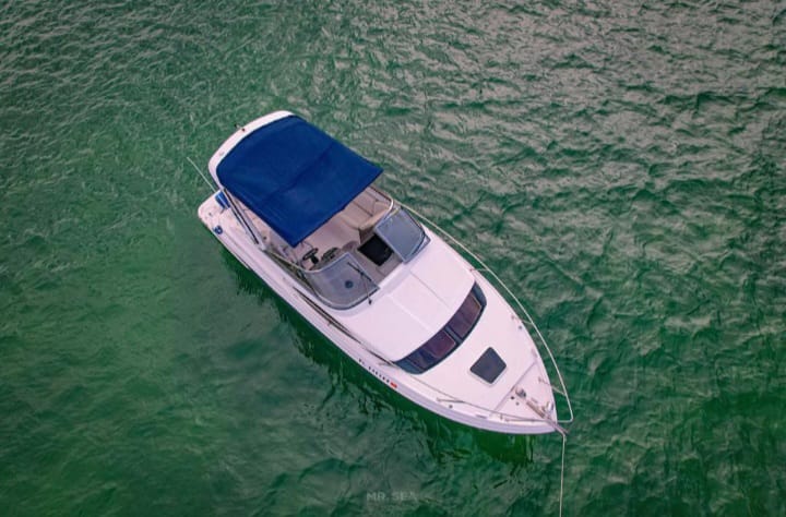 36 ft Pura Vida – Yacht Rental